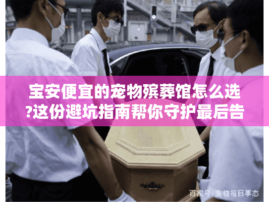 宝安便宜的宠物殡葬馆怎么选?这份避坑指南帮你守护最后告别