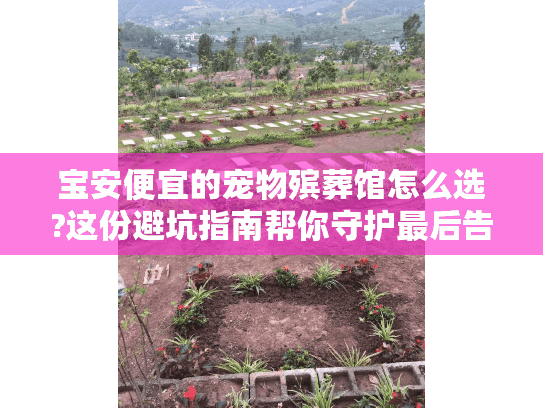 宝安便宜的宠物殡葬馆怎么选?这份避坑指南帮你守护最后告别