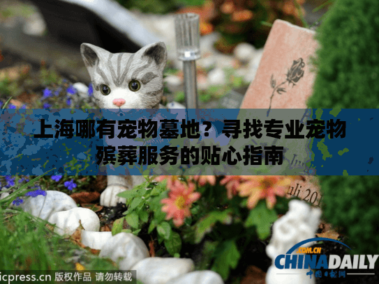 上海哪有宠物墓地？寻找专业宠物殡葬服务的贴心指南