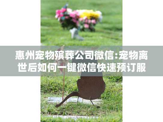 惠州宠物殡葬公司微信:宠物离世后如何一键微信快速预订服务