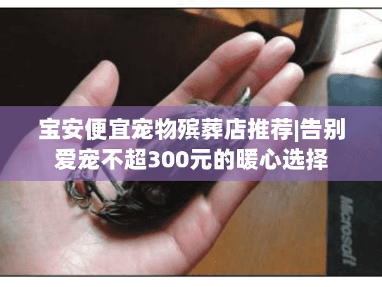 宝安便宜宠物殡葬店推荐|告别爱宠不超300元的暖心选择