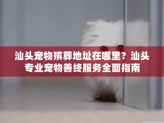 汕头宠物殡葬地址在哪里？汕头专业宠物善终服务全面指南