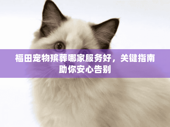 福田宠物殡葬哪家服务好，关键指南助你安心告别