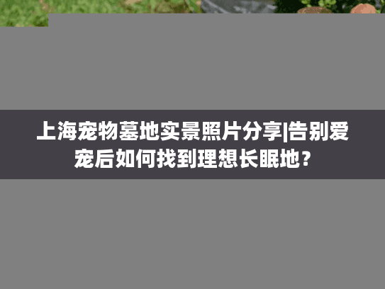 上海宠物墓地实景照片分享|告别爱宠后如何找到理想长眠地？