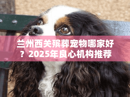 兰州西关殡葬宠物哪家好？2025年良心机构推荐