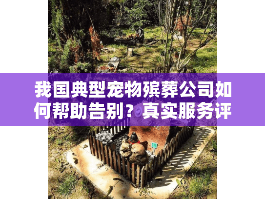 我国典型宠物殡葬公司如何帮助告别？真实服务评测来了