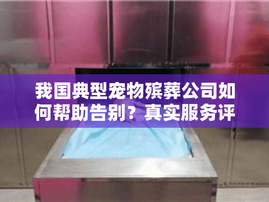 我国典型宠物殡葬公司如何帮助告别？真实服务评测来了
