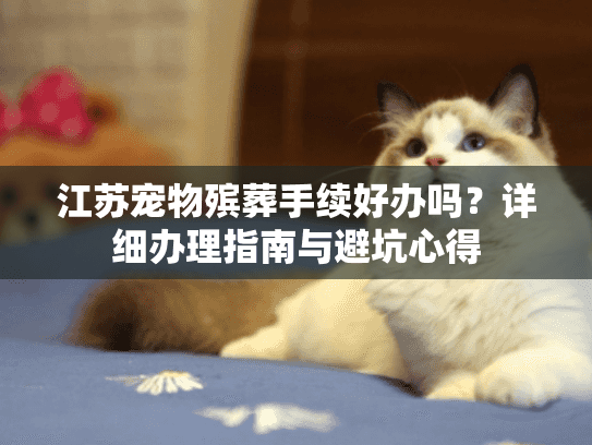 江苏宠物殡葬手续好办吗？详细办理指南与避坑心得