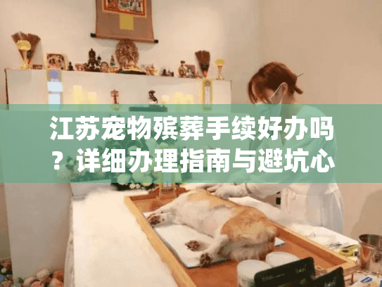 江苏宠物殡葬手续好办吗？详细办理指南与避坑心得