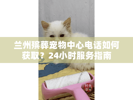 兰州殡葬宠物中心电话如何获取？24小时服务指南