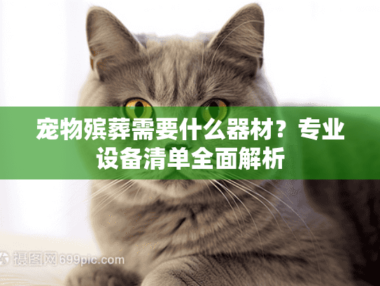 宠物殡葬需要什么器材？专业设备清单全面解析