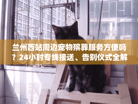 兰州西站周边宠物殡葬服务方便吗？24小时专线接送、告别仪式全解析