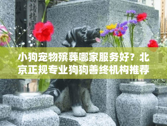 小狗宠物殡葬哪家服务好?北京正规专业狗狗善终机构推荐 小狗宠物殡葬哪家服务好?北京正规专业狗狗善终机构推荐