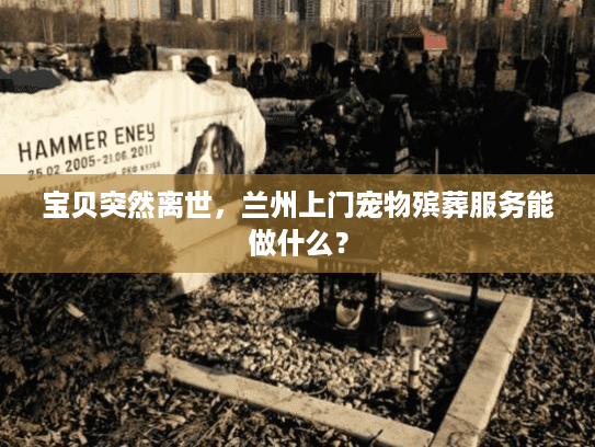 宝贝突然离世，兰州上门宠物殡葬服务能做什么？