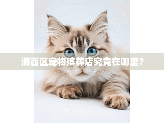 涧西区宠物殡葬店究竟在哪里？