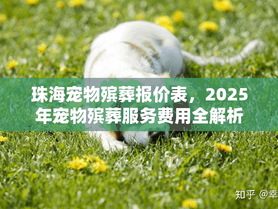 珠海宠物殡葬报价表,2025年宠物殡葬服务费用全解析 珠海宠物殡葬报价表,2025年宠物殡葬服务费用全解析