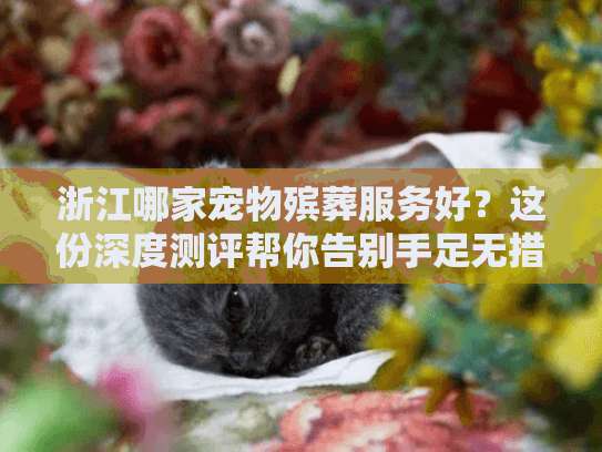 浙江哪家宠物殡葬服务好？这份深度测评帮你告别手足无措