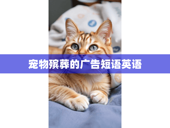 宠物殡葬的广告短语英语