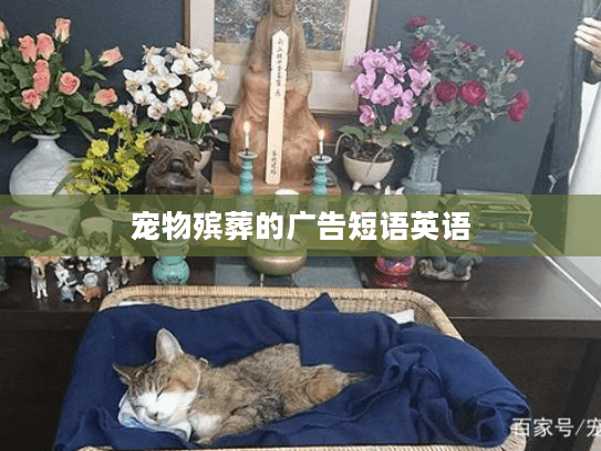 宠物殡葬的广告短语英语