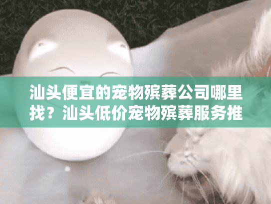 汕头便宜的宠物殡葬公司哪里找？汕头低价宠物殡葬服务推荐