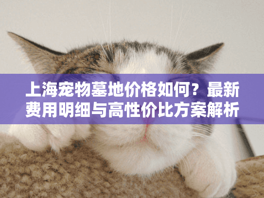 上海宠物墓地价格如何？最新费用明细与高性价比方案解析