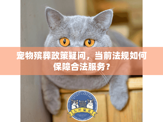 宠物殡葬政策疑问，当前法规如何保障合法服务？