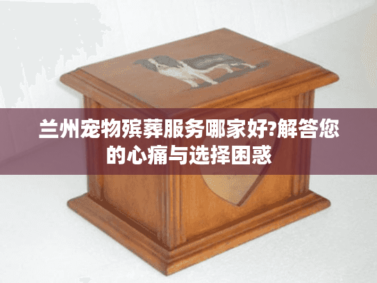 兰州宠物殡葬服务哪家好?解答您的心痛与选择困惑