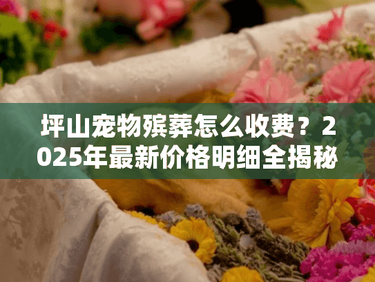 坪山宠物殡葬怎么收费？2025年最新价格明细全揭秘
