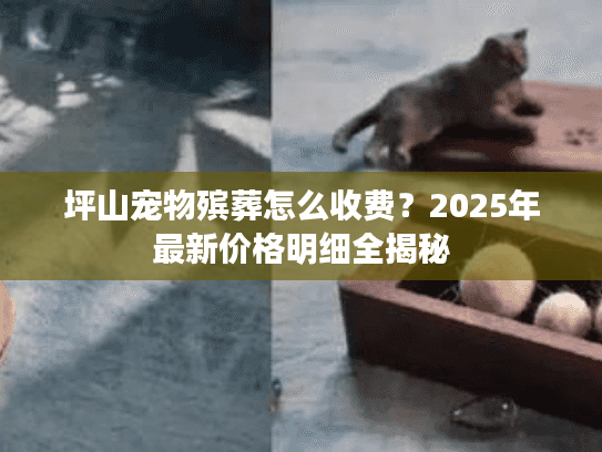 坪山宠物殡葬怎么收费？2025年最新价格明细全揭秘
