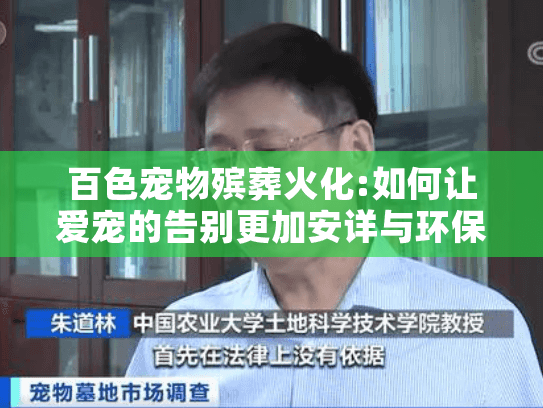 百色宠物殡葬火化:如何让爱宠的告别更加安详与环保