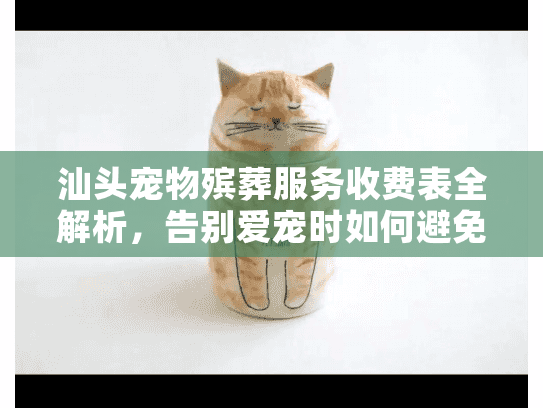 汕头宠物殡葬服务收费表全解析，告别爱宠时如何避免隐形消费？
