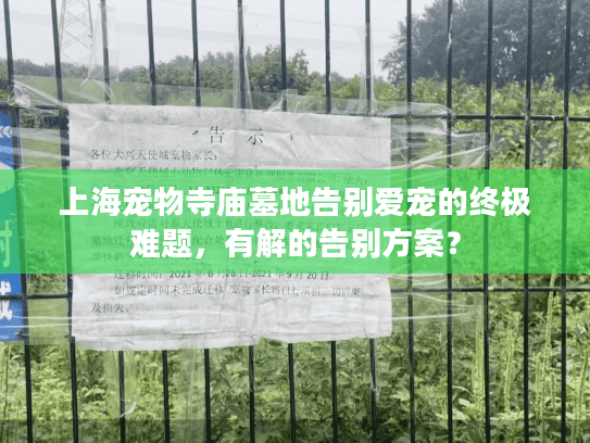 上海宠物寺庙墓地告别爱宠的终极难题，有解的告别方案？