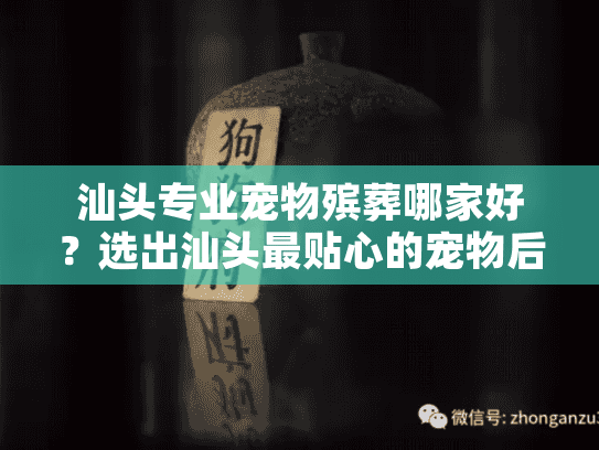 汕头专业宠物殡葬哪家好？选出汕头最贴心的宠物后事服务机构