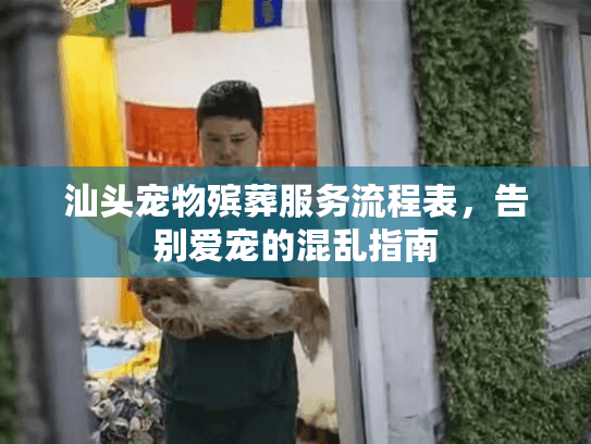汕头宠物殡葬服务流程表,告别爱宠的混乱指南 汕头宠物殡葬服务流程表,告别爱宠的混乱指南