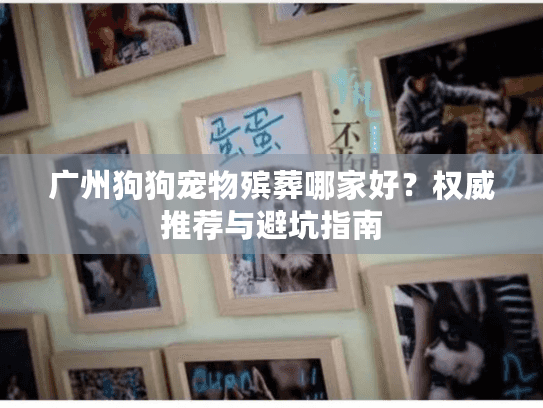广州狗狗宠物殡葬哪家好？权威推荐与避坑指南