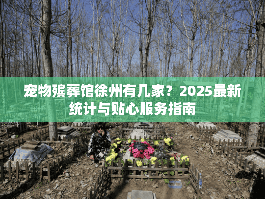 宠物殡葬馆徐州有几家？2025最新统计与贴心服务指南