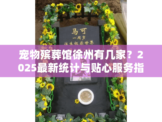 宠物殡葬馆徐州有几家？2025最新统计与贴心服务指南