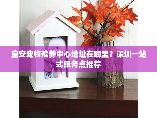 宝安宠物殡葬中心地址在哪里？深圳一站式服务点推荐