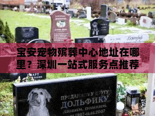 宝安宠物殡葬中心地址在哪里？深圳一站式服务点推荐
