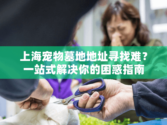 上海宠物墓地地址寻找难？一站式解决你的困惑指南