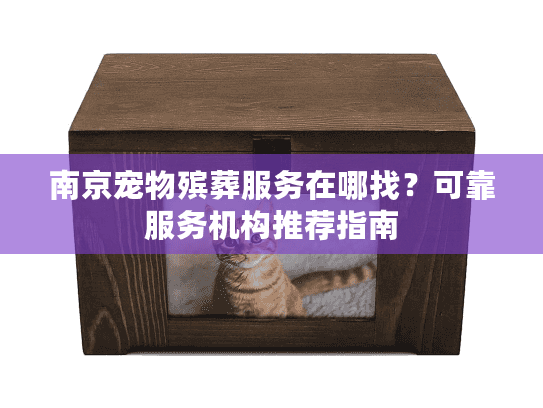 南京宠物殡葬服务在哪找？可靠服务机构推荐指南