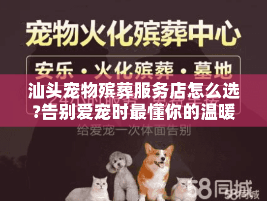 汕头宠物殡葬服务店怎么选?告别爱宠时最懂你的温暖港湾