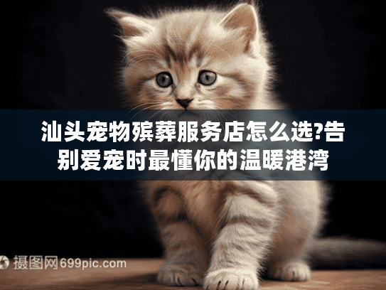 汕头宠物殡葬服务店怎么选?告别爱宠时最懂你的温暖港湾