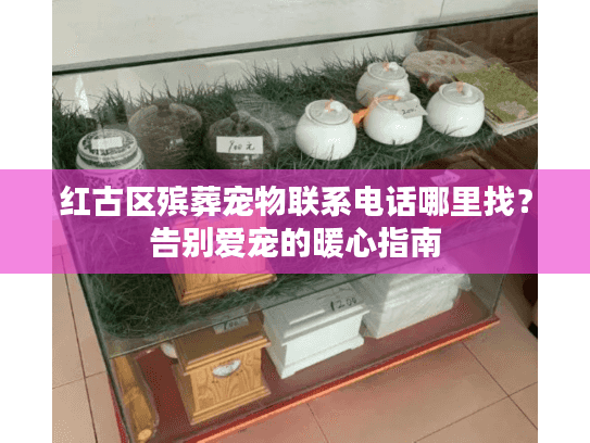 红古区殡葬宠物联系电话哪里找？告别爱宠的暖心指南