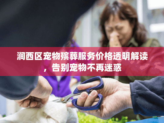 涧西区宠物殡葬服务价格透明解读，告别宠物不再迷惑