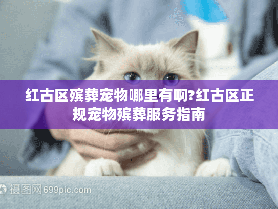红古区殡葬宠物哪里有啊?红古区正规宠物殡葬服务指南
