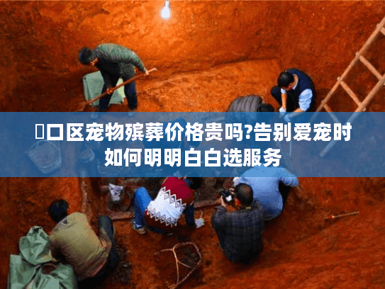 硚口区宠物殡葬价格贵吗?告别爱宠时如何明明白白选服务