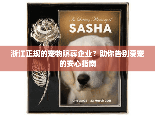 浙江正规的宠物殡葬企业？助你告别爱宠的安心指南