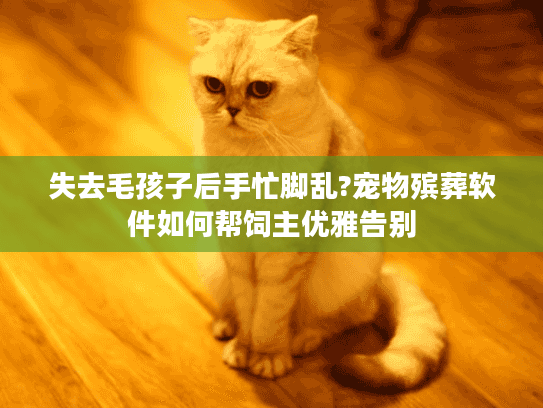 失去毛孩子后手忙脚乱?宠物殡葬软件如何帮饲主优雅告别