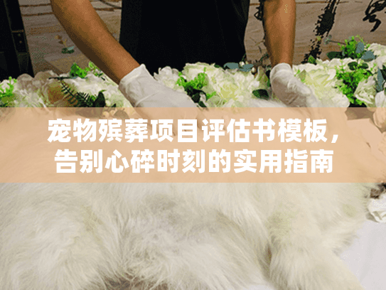 宠物殡葬项目评估书模板，告别心碎时刻的实用指南